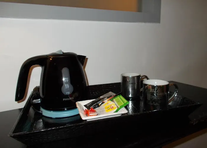 酒店 Au Bon Coin 比亚里茨